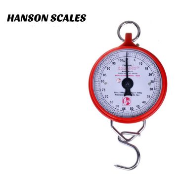hanson hanging scales in kenya